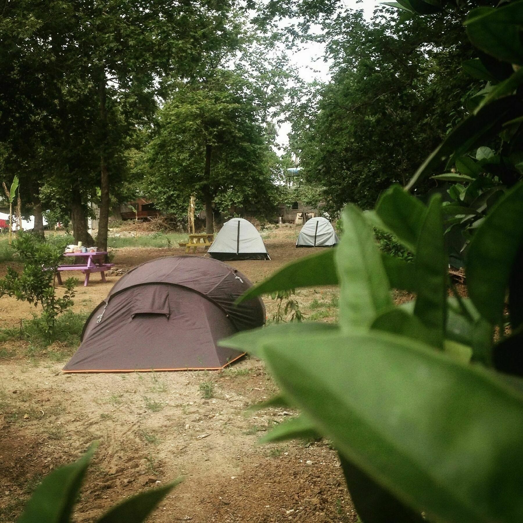 Bellerofon Caravan & Camping Çıralı Kültér fotó